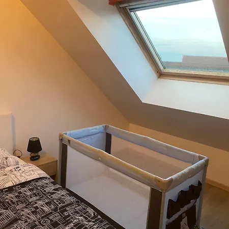 Proche De L'entree Des 24h Apartment