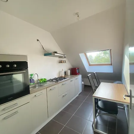 Proche De L'entree Des 24h Apartment