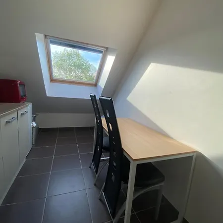 Apartment Proche De L'entree Des 24h *