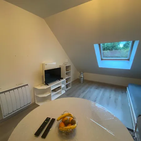 Proche De L'entree Des 24h * 勒芒