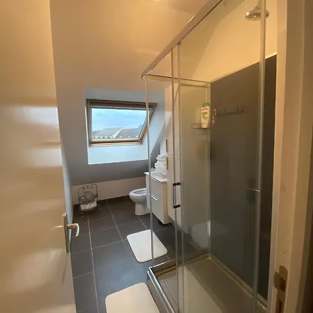 公寓 Proche De L'entree Des 24h *